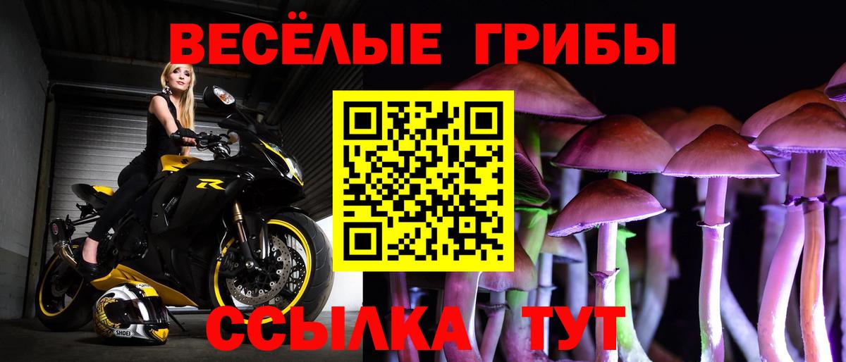 Псилоцибиновые грибы MAGIC MUSHROOMS  Вход с VPN  Сыктывкар 